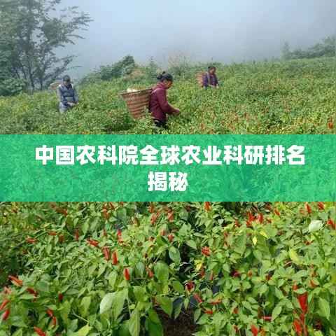 中国农科院全球农业科研排名揭秘