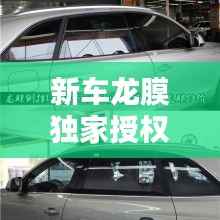 新车龙膜独家授权，龙膜受权店 
