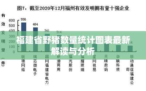 福建省野猪数量统计图表最新解读与分析