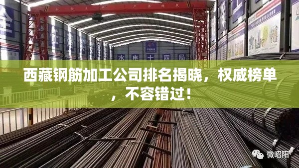 物稀为贵 第2页