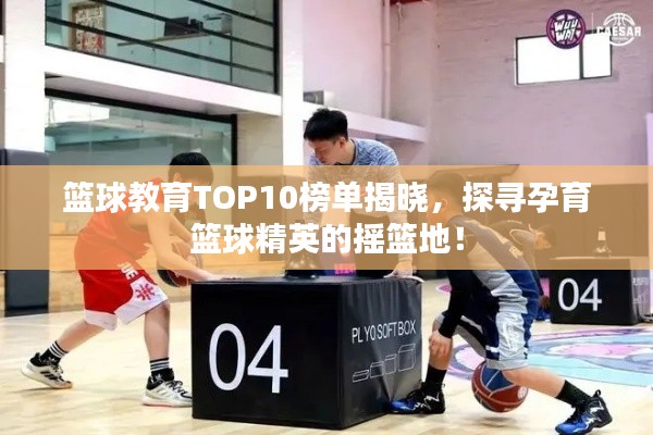 篮球教育TOP10榜单揭晓,探寻孕育篮球精英的摇篮地!