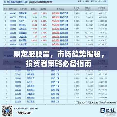 鼎龙服股票,市场趋势揭秘,投资者策略必备指南