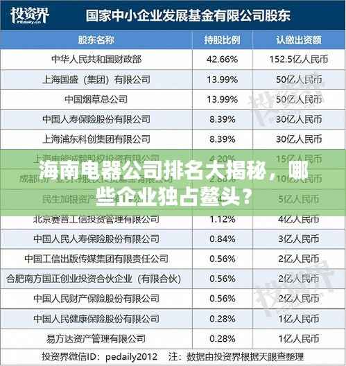 海南电器公司排名大揭秘，哪些企业独占鳌头？