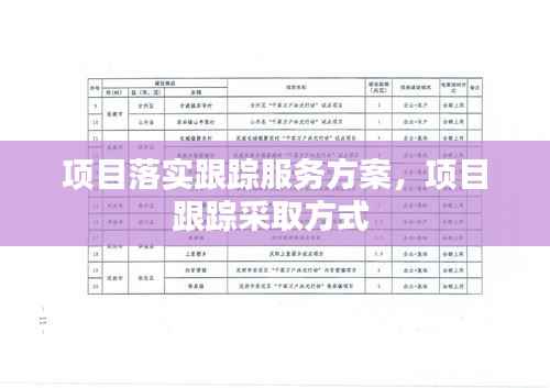 项目落实跟踪服务方案,项目跟踪采取方式