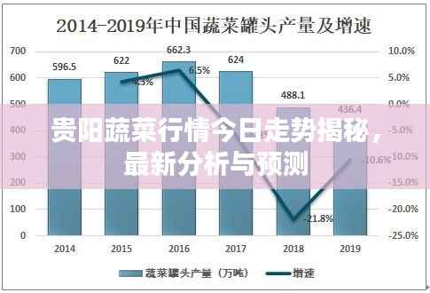贵阳蔬菜行情今日走势揭秘,最新分析与预测