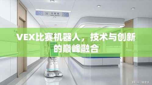 VEX比赛机器人,技术与创新的巅峰融合