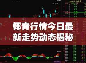 zhangdengjiecai 第2页