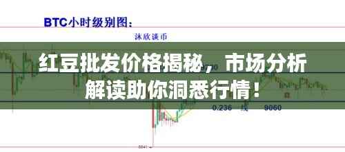 红豆批发价格揭秘,市场分析解读助你洞悉行情!
