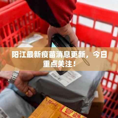 阳江最新疫苗消息更新,今日重点关注!