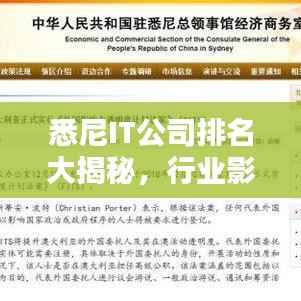悉尼IT公司排名大揭秘，行业影响力深度解析