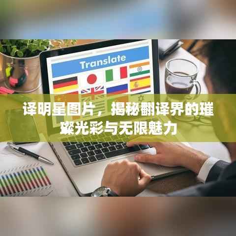 译明星图片,揭秘翻译界的璀璨光彩与无限魅力