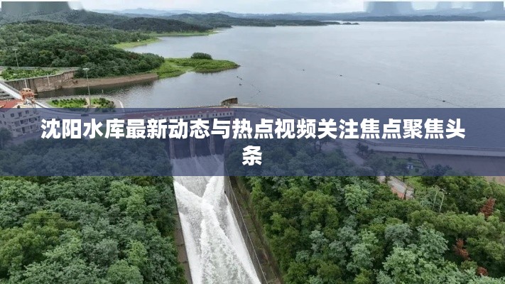 沈阳水库最新动态与热点视频关注焦点聚焦头条