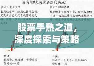 股票手熟之道,深度探索与策略实战应用