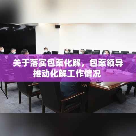 关于落实包案化解,包案领导推动化解工作情况