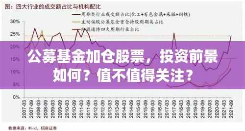 公募基金加仓股票,投资前景如何?值不值得关注?