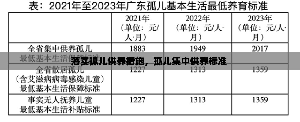 落实孤儿供养措施,孤儿集中供养标准