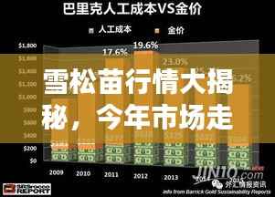 雪松苗行情大揭秘,今年市场走势分析!