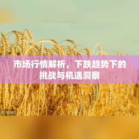 市场行情解析,下跌趋势下的挑战与机遇洞察