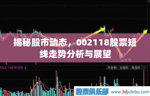 揭秘股市动态,002118股票短线走势分析与展望