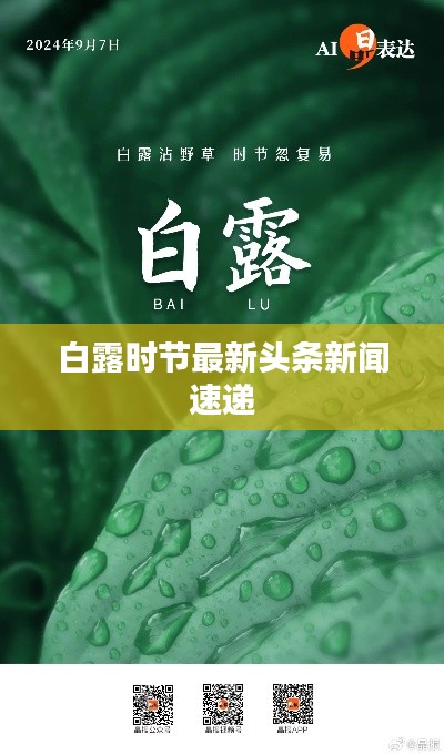 白露时节最新头条新闻速递