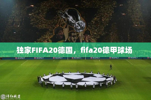 独家FIFA20德国,fifa20德甲球场