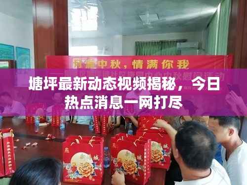 塘坪最新动态视频揭秘,今日热点消息一网打尽