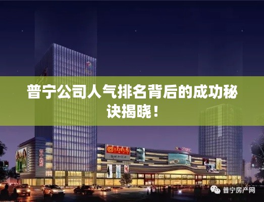 普宁公司人气排名背后的成功秘诀揭晓!