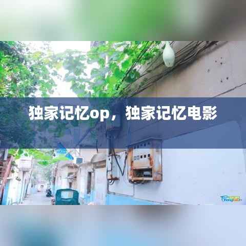 独家记忆op,独家记忆电影
