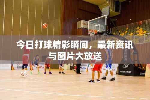 今日打球精彩瞬间,最新资讯与图片大放送