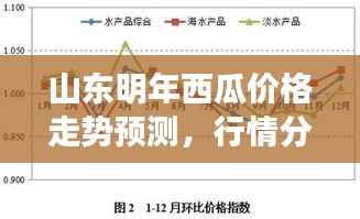 山东明年西瓜价格走势预测,行情分析与展望