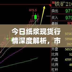 今日纸浆现货行情深度解析,市场走势一览