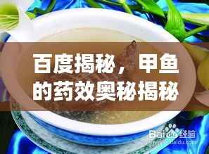 百度揭秘,甲鱼的药效奥秘揭秘!
