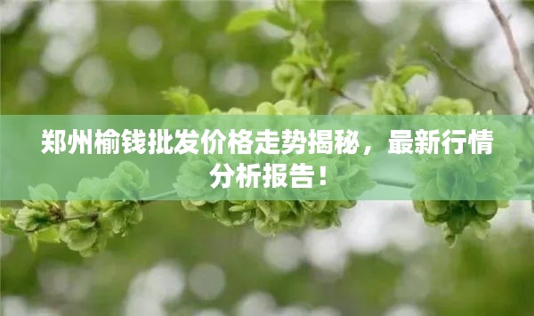 郑州榆钱批发价格走势揭秘,最新行情分析报告!