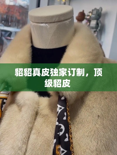 貂貂真皮独家订制,顶级貂皮
