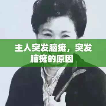 主人突发脑瘫,突发脑瘫的原因