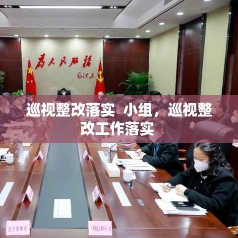 巡视整改落实 小组,巡视整改工作落实