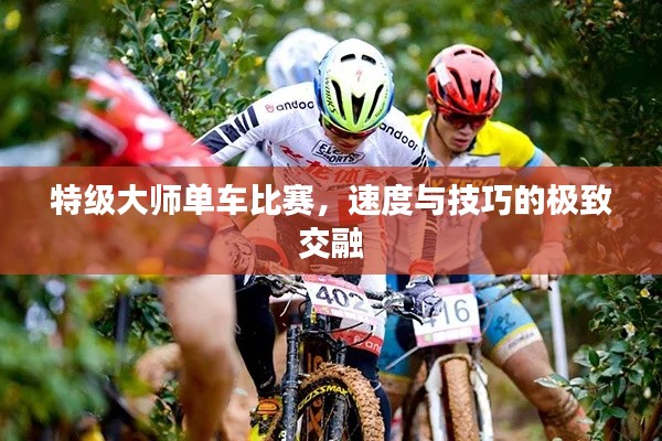 特级大师单车比赛,速度与技巧的极致交融