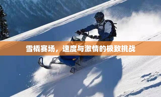 雪橇赛场,速度与激情的极致挑战