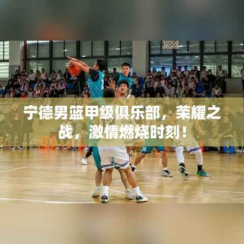 宁德男篮甲级俱乐部,荣耀之战,激情燃烧时刻!