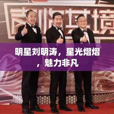 明星刘明涛,星光熠熠,魅力非凡