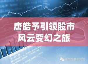 唐皓予引领股市风云变幻之旅