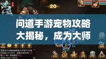 问道手游宠物攻略大揭秘,成为大师的秘密武器最新版