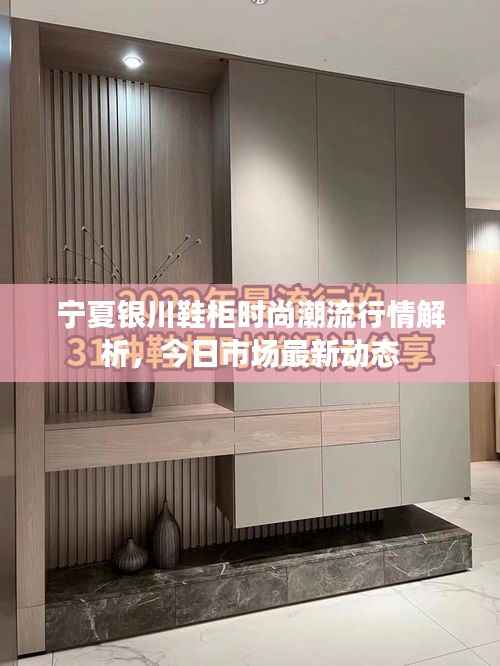 宁夏银川鞋柜时尚潮流行情解析,今日市场最新动态