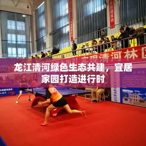 龙江清河绿色生态共建,宜居家园打造进行时