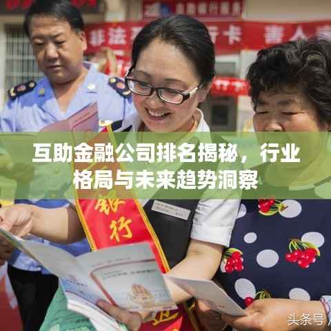 互助金融公司排名揭秘,行业格局与未来趋势洞察